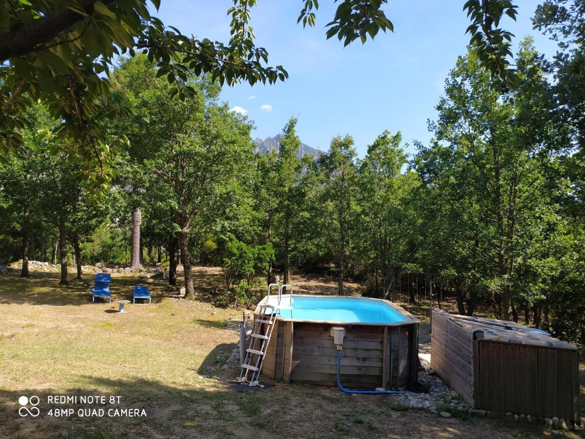Chalet De Caralba Piscine Villa Ghisoni Luaran gambar
